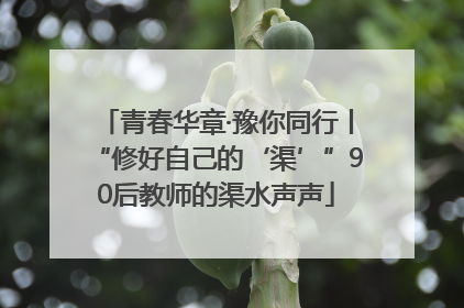 青春华章·豫你同行丨“修好自己的‘渠’”90后教师的渠水声声